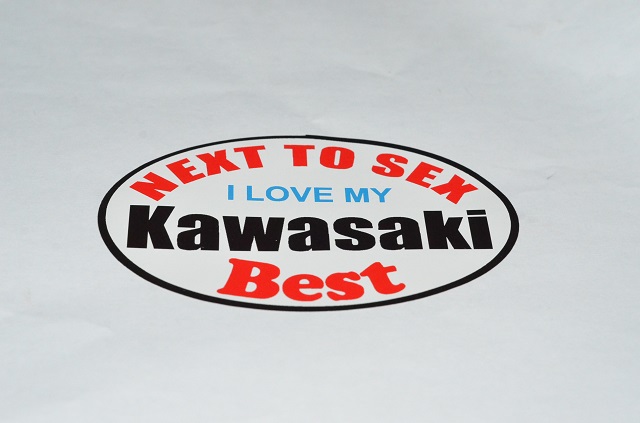 NEXT TO SEX I LOVE MY KAWASAKI BEST DECAL